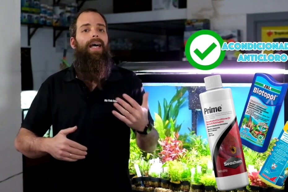 Optimiza la salud de tus peces con estos consejos sobre cambios de agua en acuarios 1